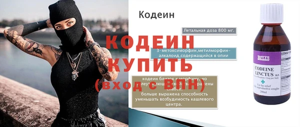 шишки Надым