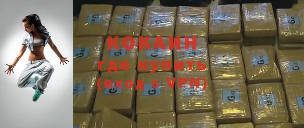шишки Надым