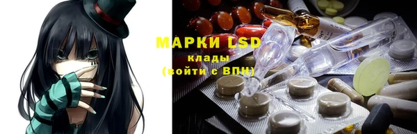 шишки Надым