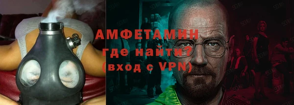 шишки Надым