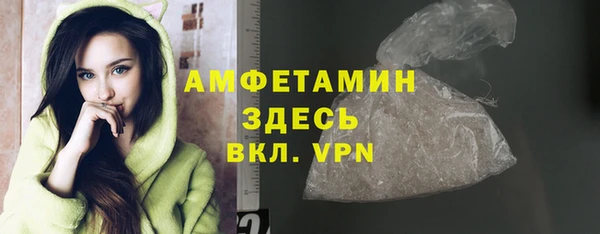 шишки Надым