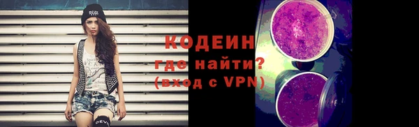 шишки Надым