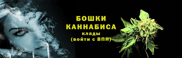 шишки Надым