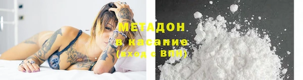 шишки Надым