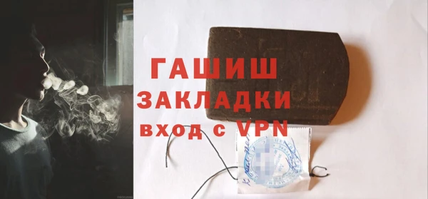 шишки Надым