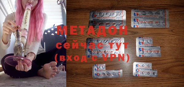 шишки Надым