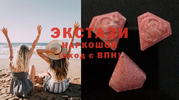 шишки Надым