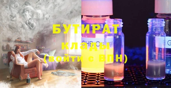 шишки Надым