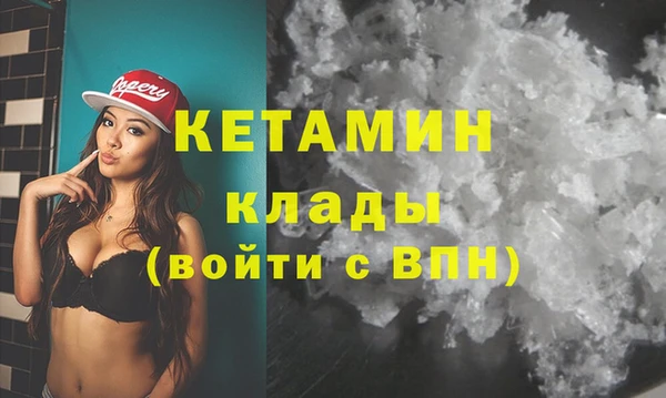 шишки Надым