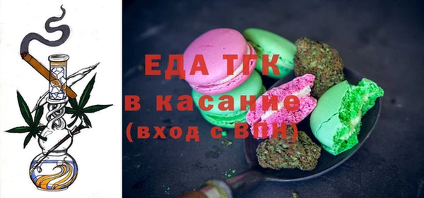 шишки Надым