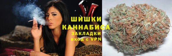 шишки Надым