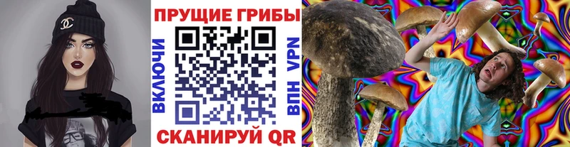 Псилоцибиновые грибы ЛСД  дарнет шоп  Усолье-Сибирское 