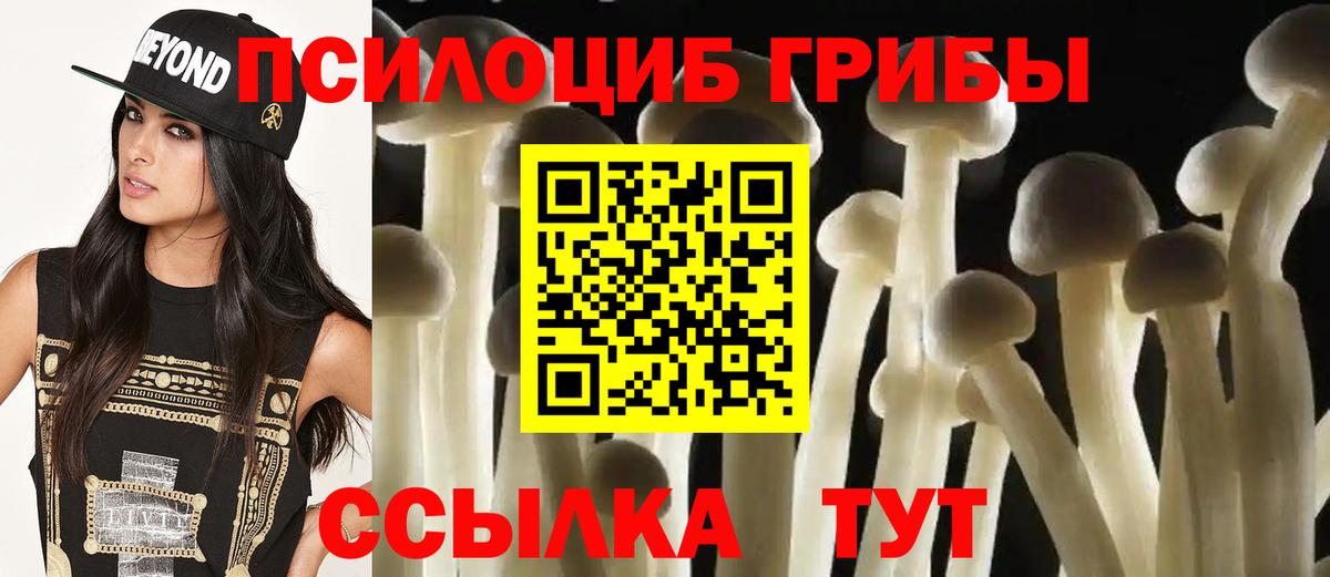 Галлюциногенные грибы GOLDEN TEACHER  Вход с VPN  Галлюциногенные грибы MAGIC MUSHROOMS  Усолье-Сибирское 